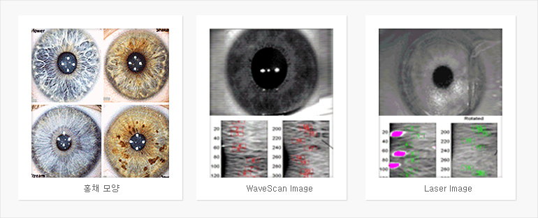 홍채모양에 따른 자동인식에 대한 도식